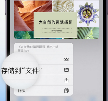 开平apple维修中心分享iPhone文件应用中存储和找到下载文件