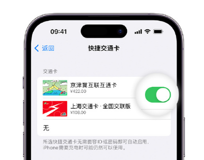 开平apple维修点分享iPhone上更换Apple Pay快捷交通卡手绘卡面 