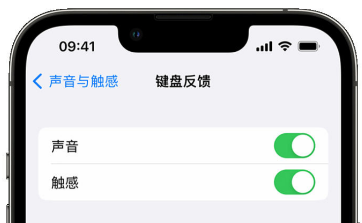 开平苹果手机维修分享iPhone 14触感键盘使用方法 