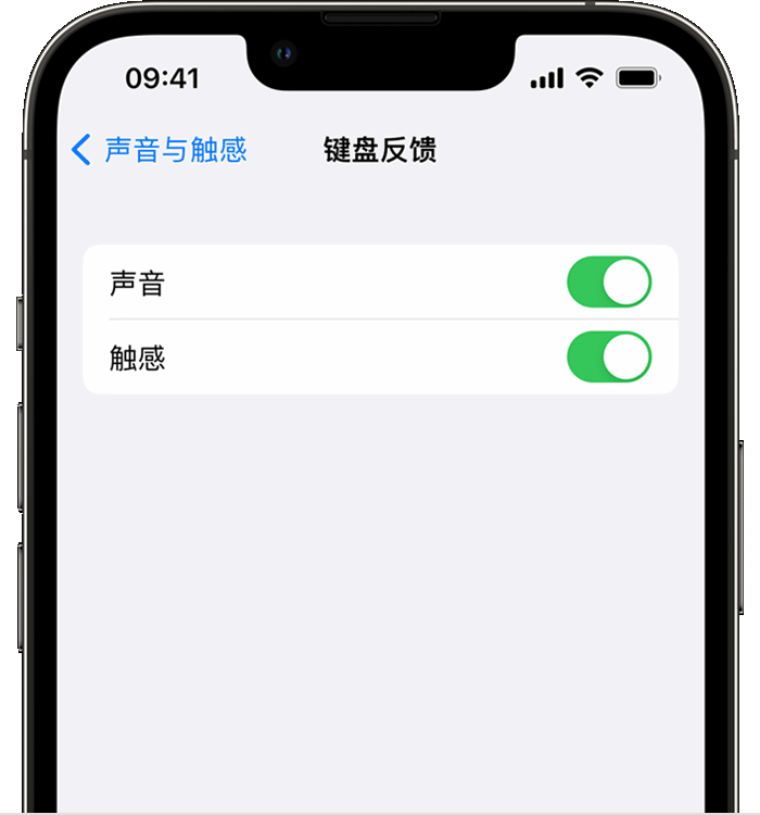 开平苹果14维修店分享如何在 iPhone 14 机型中使用触感键盘 