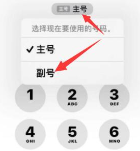 开平苹果14维修店分享iPhone 14 Pro Max使用副卡打电话的方法 