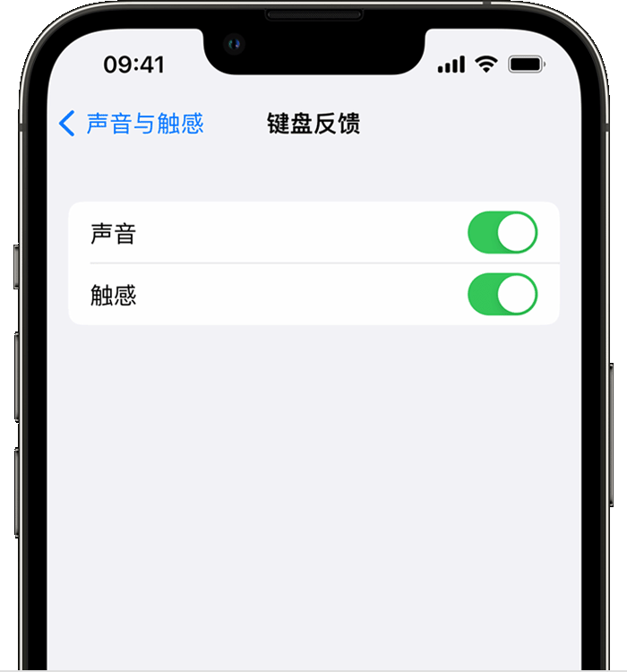 开平苹果14维修分享iPhone 14 系列机型如何开启键盘声音或触感反馈 