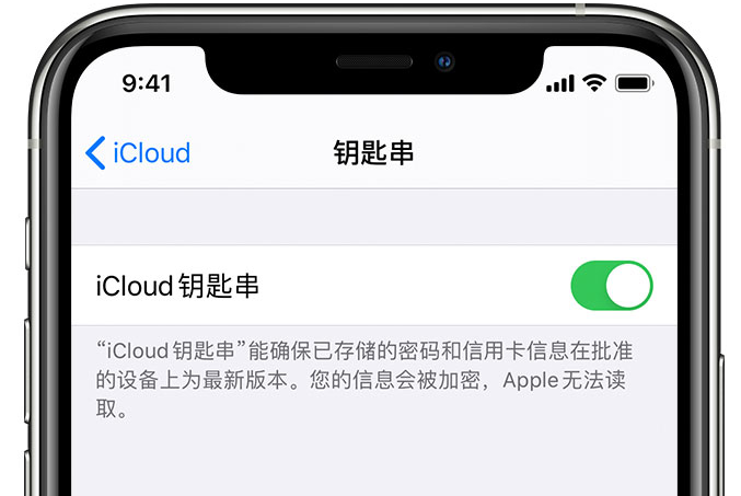 开平苹果手机维修分享在 iPhone 上开启 iCloud 钥匙串之后会储存哪些信息 