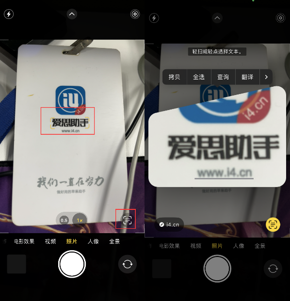 开平苹果手机维修分享升级iOS 16后如何通过相机翻译文本 