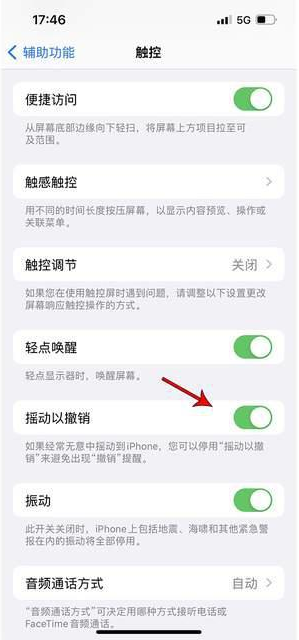 开平苹果手机维修分享iPhone手机如何设置摇一摇删除文字 