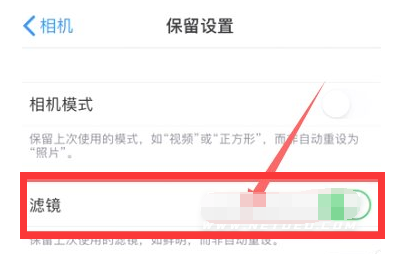 开平苹果13维修分享iPhone13拍照有绿点是怎么回事 