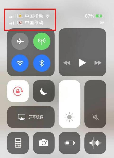 开平苹果手机维修分享为 iPhone 12 双卡设置标签 